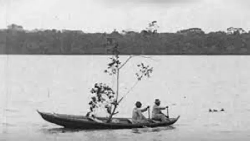 Imagem de Amazonas, o Maior Rio do Mundo