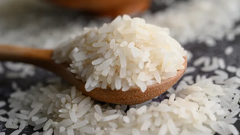 O Rio Grande do Sul é o maior produtor de arroz do Brasil
