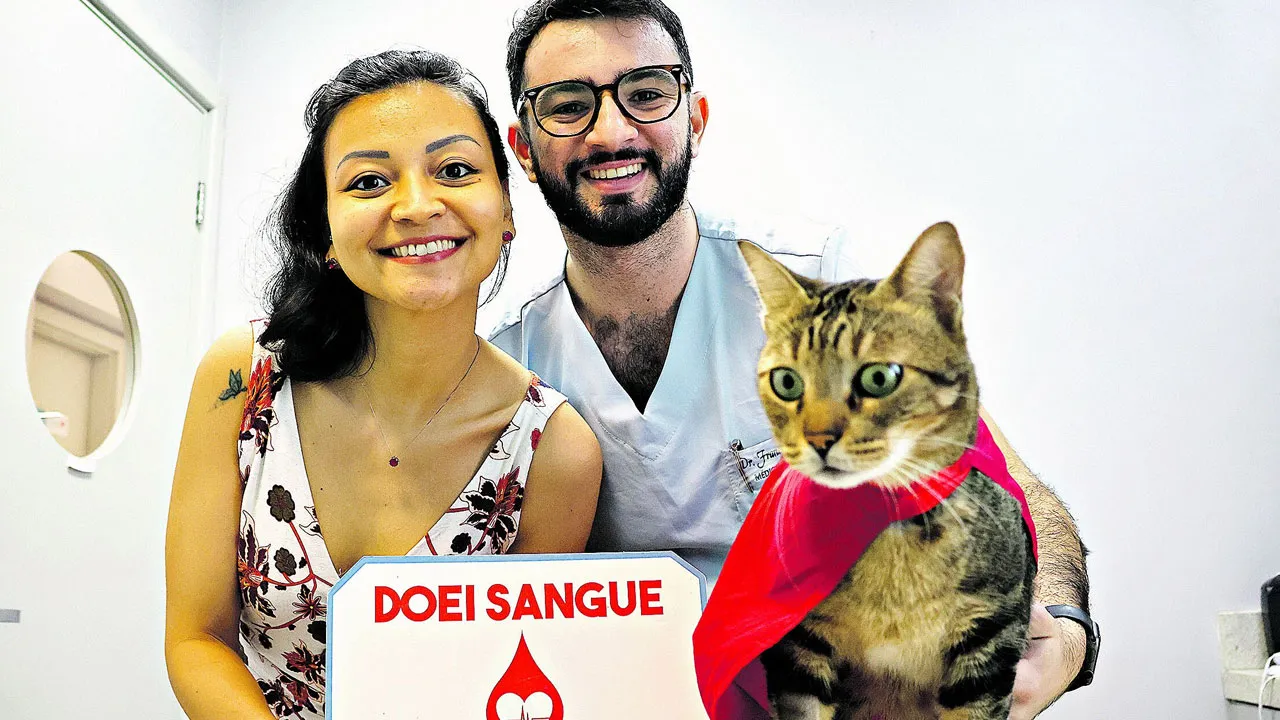 Tutora Jéssica Saito, Francisco Rodrigues, coordenador do Banco de Sangue, com o gato Duque.