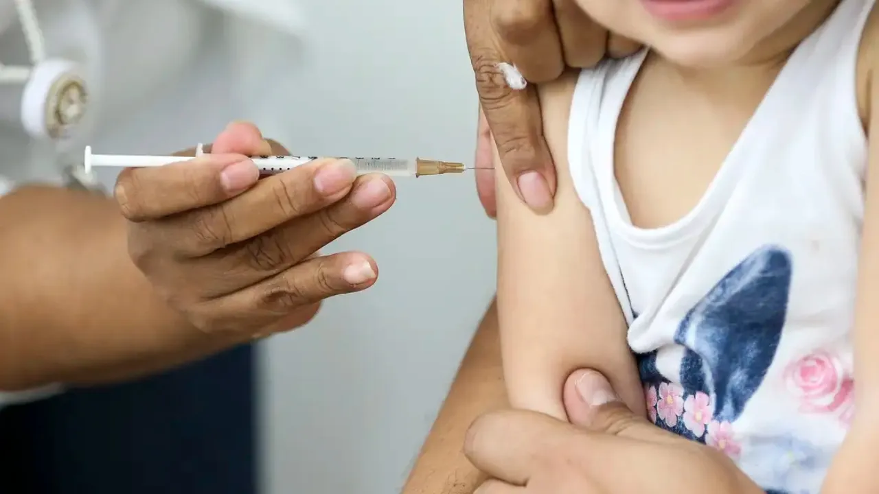 Vacina BCG é aplicada em recém-nascidos e crianças na primeira infância