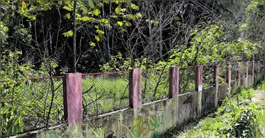 Parque ambiental tomado pelo mato
