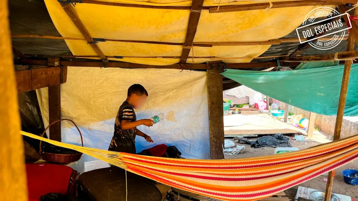 Imagem ilustrativa da notícia Vídeo: Warao equlibram luta pela sobrevivência e esperança