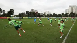 Palmeiras segue preparação para "final" diante do Botafogo