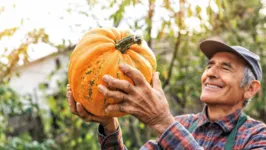 A abóbora é um alimento extremamente nutritivo que pode ser consumido todos os dias