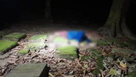 Homem é morto a facadas dentro de cemitério no Guamá
