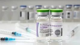 Função do Zolgensma é neutralizar os efeitos da doença, que pode levar a óbito. O medicamento custa cerca de R$ 6 milhões.
