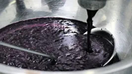 Dieese comparou preços do açaí em 30 anos do Plano Real