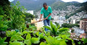 O futuro da alimentação nas áreas urbanas!