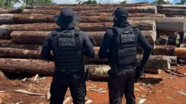 Polícia Federal prende madeira ilegal