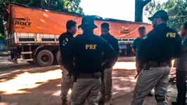 Agentes da Polícia Rodoviária Federal apreendem madeira oriunda de corte ilegal