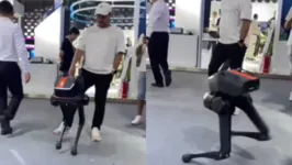 Nas imagens, pessoas aparecem empurrando e chutando um cachorro robô