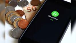 O Brasil é o segundo maior mercado do WhatsApp no mundo, atrás apenas da Índia.