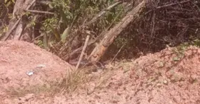 Cadáver queimado foi encontrado em área de mata na região onde está sendo construída a avenida Liberdade, próximo à Alça Viária