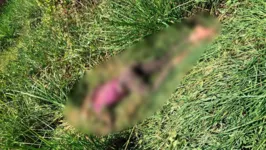 Corpo foi encontrado em matagal no Bairro São Félix