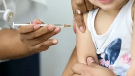 Vacina BCG é aplicada em recém-nascidos e crianças na primeira infância