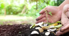 O processo decompõe e recicla material orgânico, como sobras de verduras, legumes, frutas e fezes de animais herbívoros