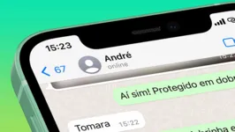 Não adianta esconder o status, porque navegador consegue notificar se usuário está online