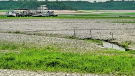 Vania Neu lembra que, em 2023, já se vivenciou uma seca extrema na Amazônia, quando várias pessoas ficaram isoladas, sem água potável e sem comida