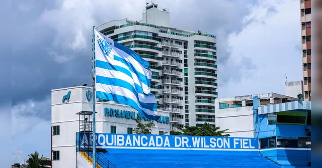Imagem ilustrativa da notícia Condel autoriza aporte financeiro da Libra ao Paysandu