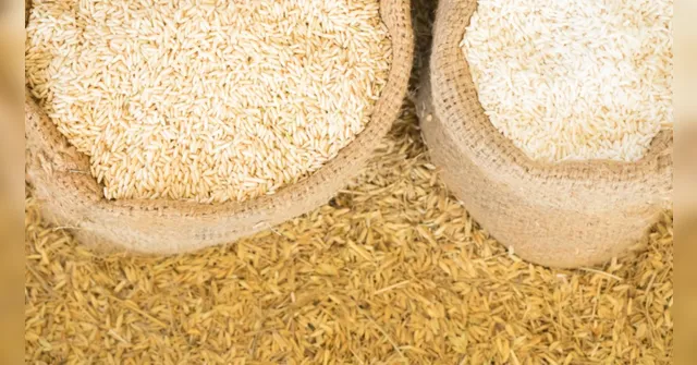 Imagem ilustrativa da notícia PGR deve investigar suspeita de fraude na compra de arroz 