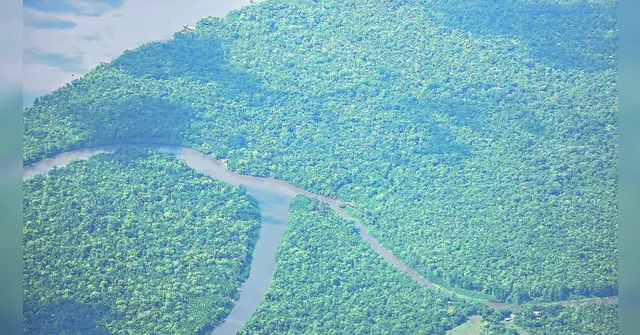 Imagem ilustrativa da notícia A Amazônia está no centro da questão climática mundial