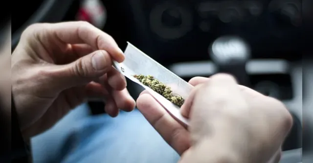 Imagem ilustrativa da notícia STF define porção de maconha que diferencia porte e tráfico