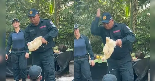 Imagem ilustrativa da notícia Vídeo: sargento da PM arranca cabeça de galinha com a mão
