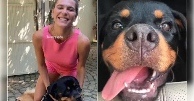 Imagem ilustrativa da notícia Ex de Cauã Reymond lamenta morte do cachorro do ator