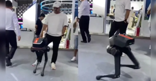 Imagem ilustrativa da notícia Maldade? Cachorro-robô leva chutes em evento na Ásia