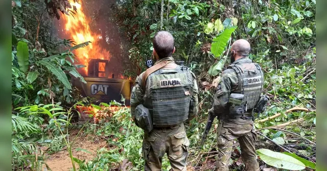 Imagem ilustrativa da notícia Governo contabiliza mil operações na TI Yanomami