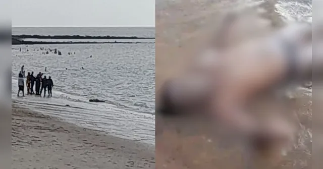 Imagem ilustrativa da notícia Corpo de homem é encontrado em praia em Mosqueiro