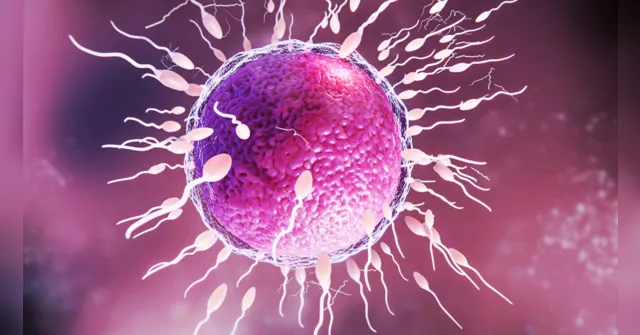 Imagem ilustrativa da notícia Anticoncepcional para homem: novo estudo avança nos EUA