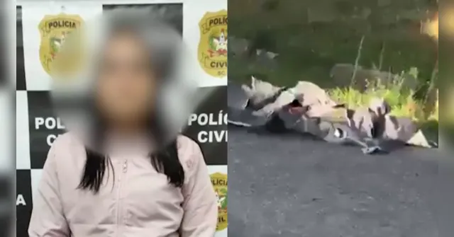 Imagem ilustrativa da notícia Paraense envolvida em homicídio em Castanhal é presa em SC