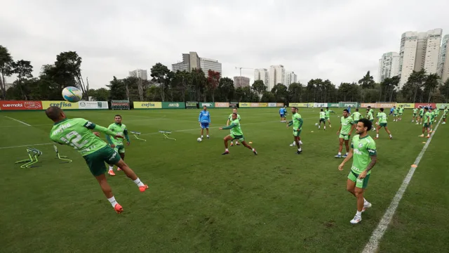 Imagem ilustrativa da notícia Palmeiras busca liderança em reencontro com o Botafogo