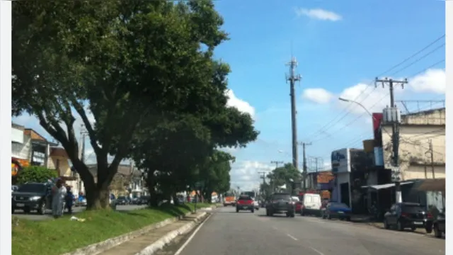 Imagem ilustrativa da notícia Caçamba derruba árvore na Dr. Freitas; veja o trânsito