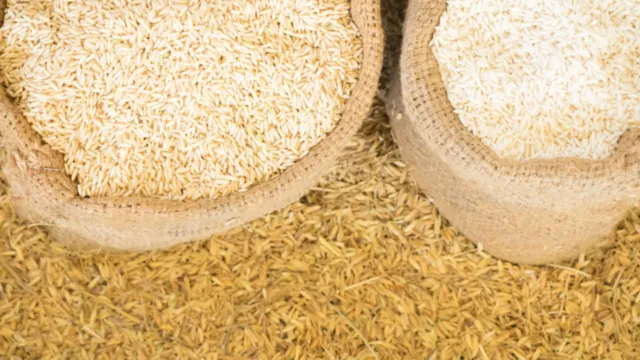 Imagem ilustrativa da notícia PGR deve investigar suspeita de fraude na compra de arroz 
