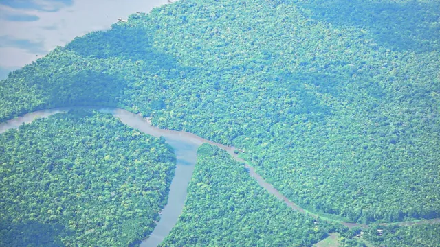 Imagem ilustrativa da notícia A Amazônia está no centro da questão climática mundial