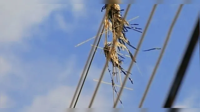 Imagem ilustrativa da notícia Entenda os riscos de soltar pipa próximo às redes elétricas