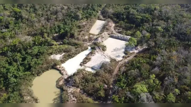 Imagem ilustrativa da notícia Polícia Federal fecha garimpo em terra Kayapó no Pará