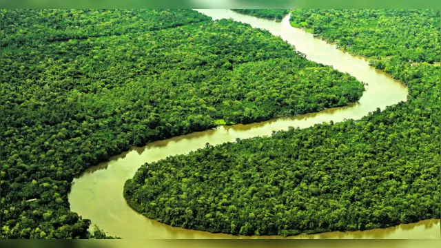 Imagem ilustrativa da notícia Desmatamento: Pará tem redução de 38% em junho