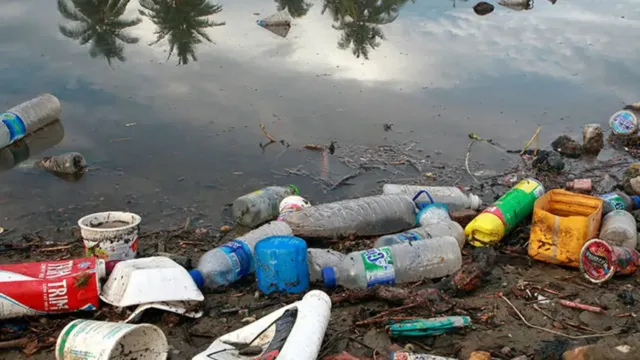Imagem ilustrativa da notícia Em 2050, é possível ter mais plástico que peixe nos oceanos
