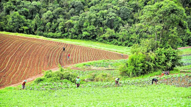 Imagem ilustrativa da notícia Jader apresenta emenda à MP para proteção de ecossistemas