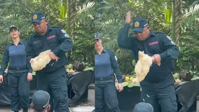 Imagem ilustrativa da notícia Vídeo: sargento da PM arranca cabeça de galinha com a mão