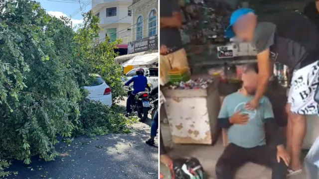 Imagem ilustrativa da notícia Vídeo: árvore cai e atinge motociclista em rua de Belém