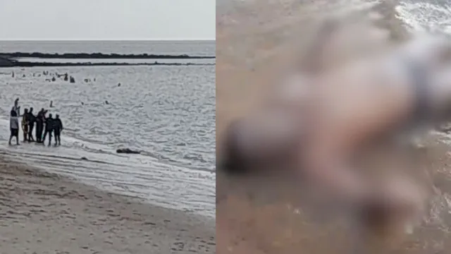 Imagem ilustrativa da notícia Corpo de homem é encontrado em praia em Mosqueiro