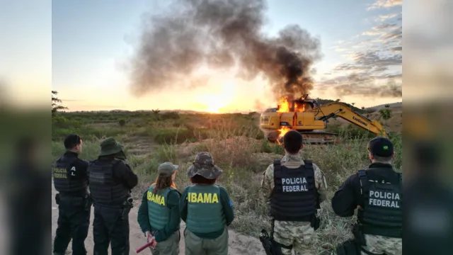 Imagem ilustrativa da notícia PF e Ibama fecham seis garimpos no sudeste do Pará