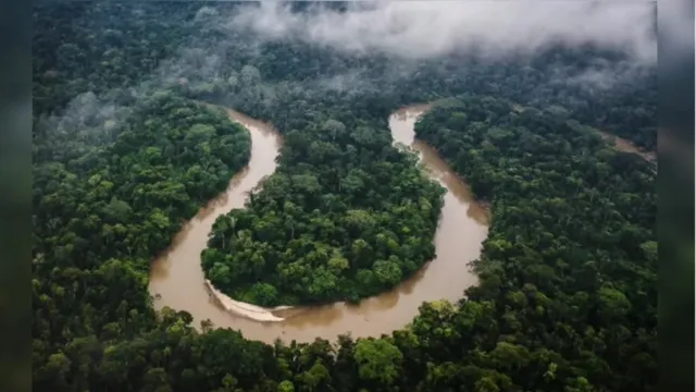Imagem ilustrativa da notícia Descoberta de sítios arqueológicos muda olhar sobre Amazônia