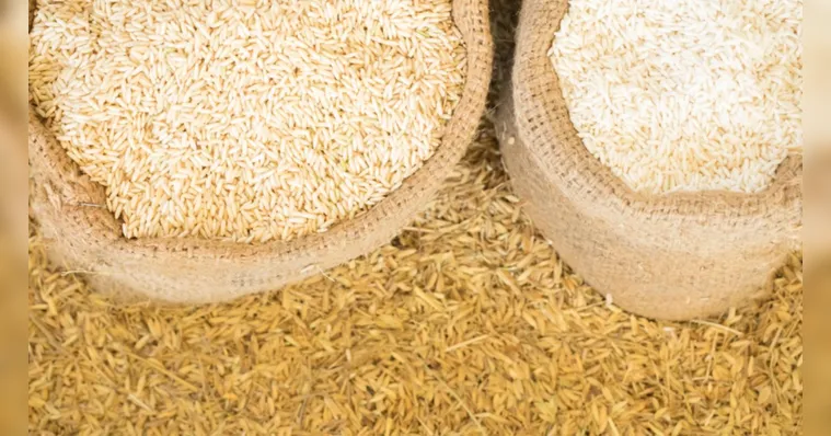 Imagem ilustrativa da notícia PGR deve investigar suspeita de fraude na compra de arroz 