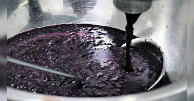 Imagem ilustrativa da notícia Mais de 1.700% de acréscimo no valor do açaí em 30 anos
