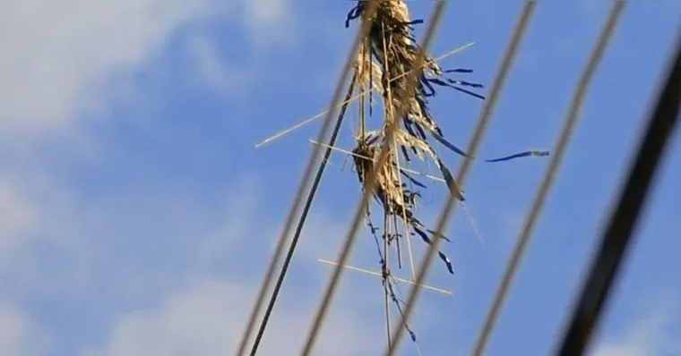 Imagem ilustrativa da notícia Entenda os riscos de soltar pipa próximo às redes elétricas